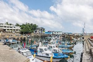 제주_대포포구 (6)