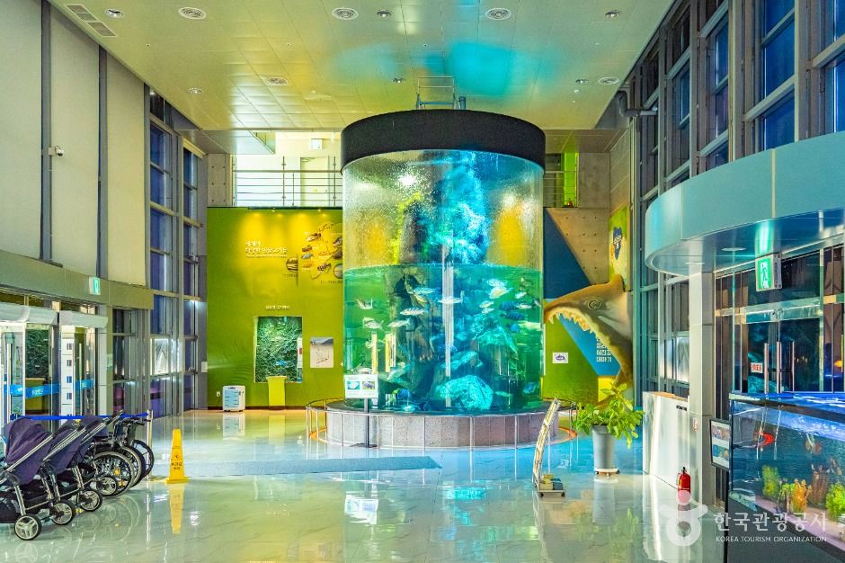 섬진강어류생태관