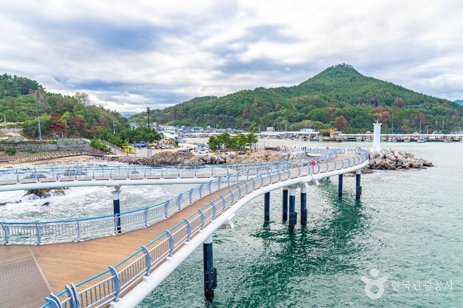 thumbnail-대진항(영덕)-6