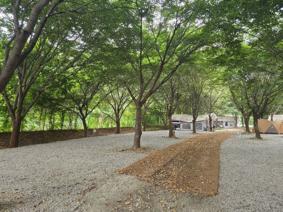 레이크문캠핑장