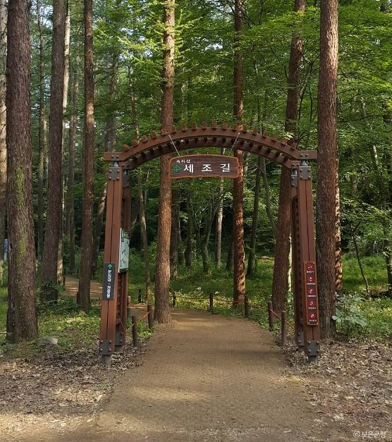 보은_세조길 (12)