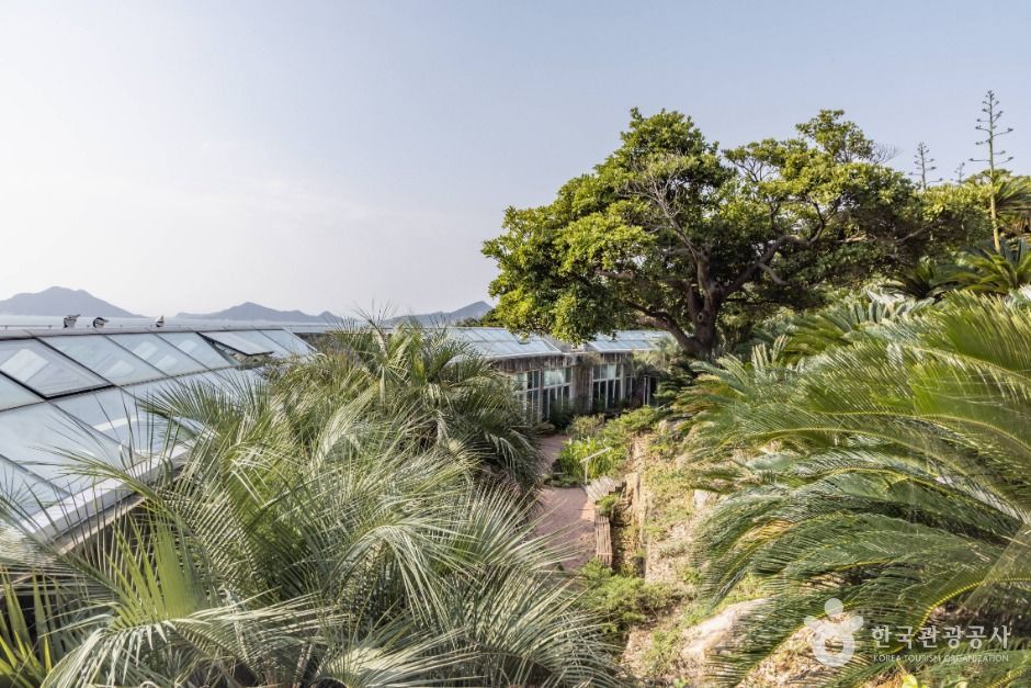 thumbnail-장사도해상공원 까멜리아-25