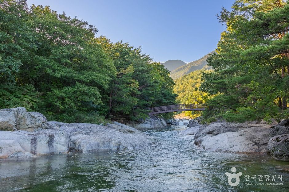 도원리계곡