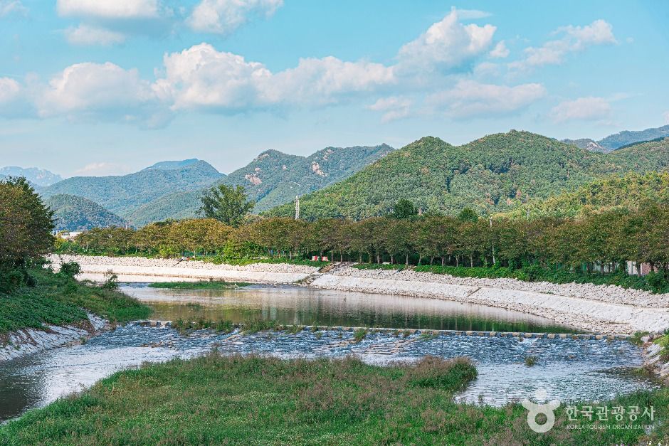 경천애인 징검다리길