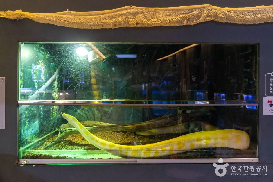 충주_충주자연생태체험관 (6)