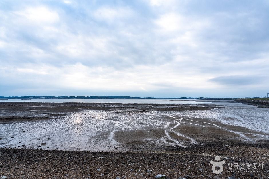 천수만(철새도래지)