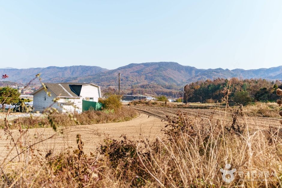 초정솔밭보리밥집카페