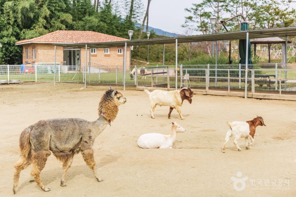 thumbnail-익산 액션하우스-5