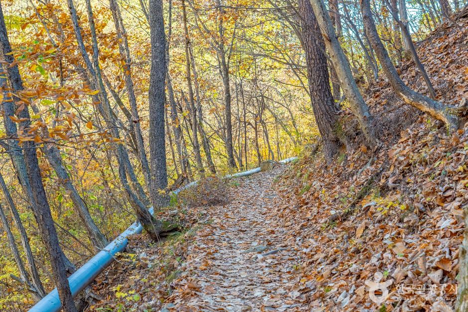 thumbnail-덕구계곡 트레킹-5