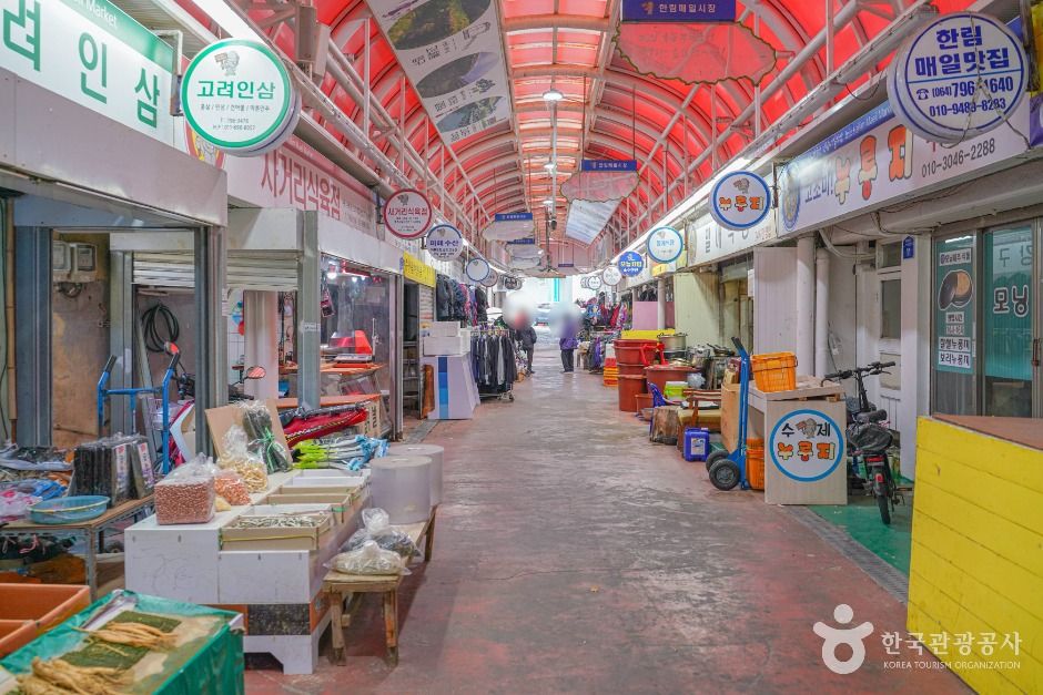 제주_한림매일시장 (3)