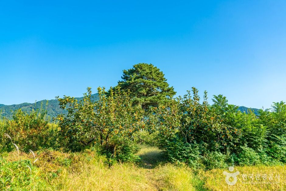 경남 하동 악양면 [슬로시티]