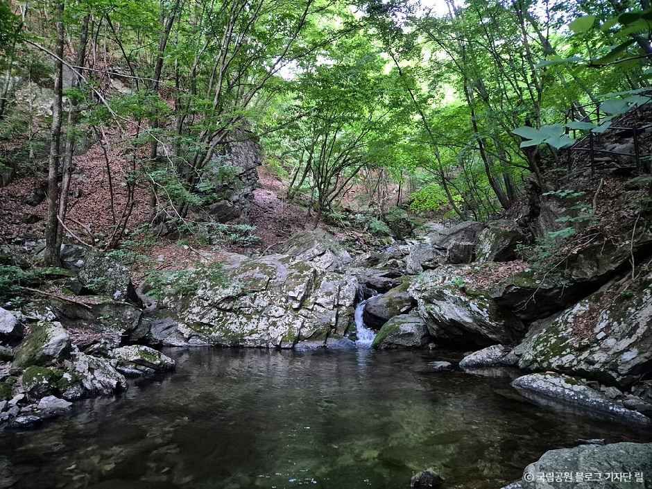 thumbnail-치악산국립공원-4