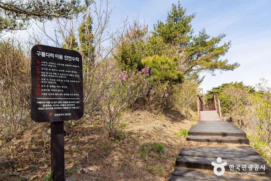 thumbnail-부아산 구름다리-2