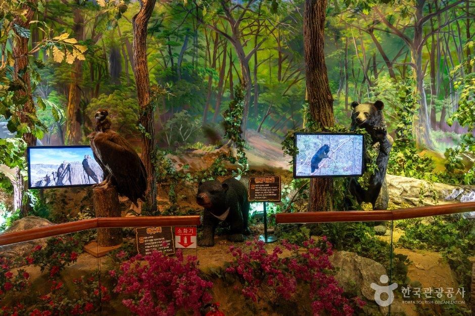 thumbnail-지리산생태과학관-11