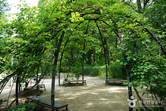 Korea National Arboretum and Forest Museum (국립수목원-구, 광릉수목원)