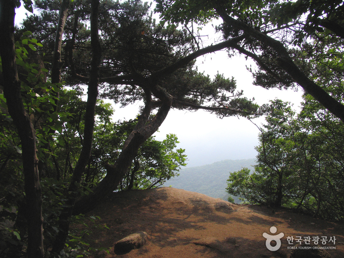 Manisan Mountain (마니산)