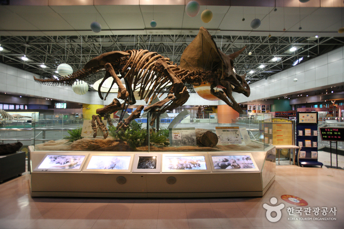 National Science Museum (국립중앙과학관)