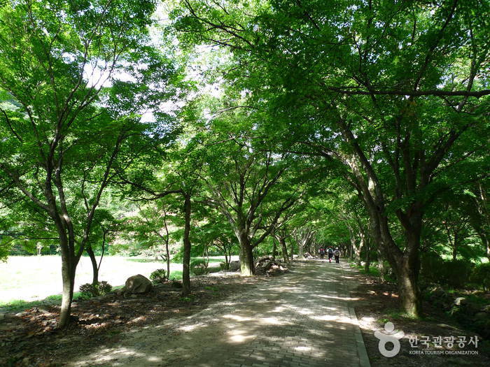 내장산국립공원 사진22