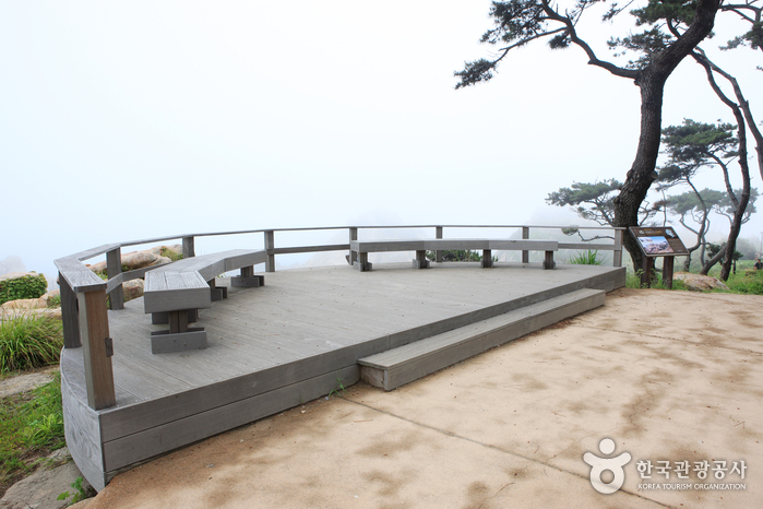 Daewangam Park (대왕암공원)