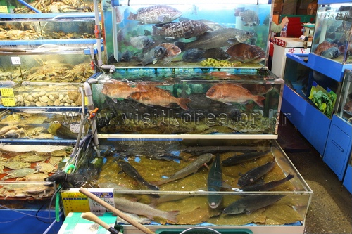 Noryangjin Fisheries Wholesale Market (노량진수산시장)