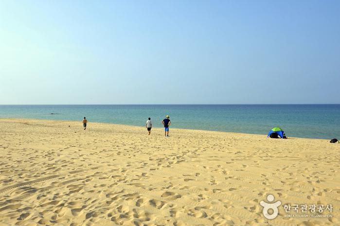 注文津海邊(注文津海水浴場)(주문진해변)