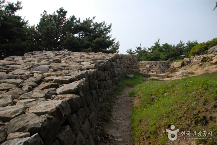 thumbnail-Bomunsan Forest Trail (보문산 행복 숲 둘레길)-15