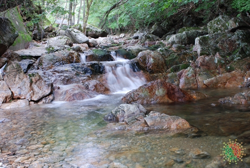 Mulhan Valley (물한계곡)