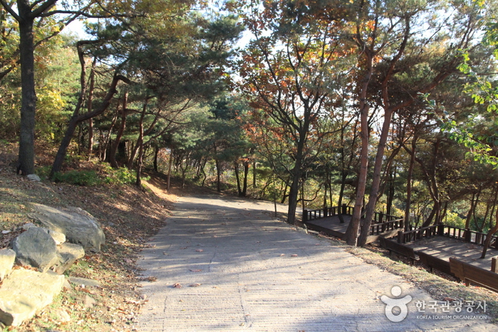 [Wanderweg Ganghwa Nadeul-gil Route 6] Weg zum Geburtshaus von Hwanam ([강화 나들길 제6코스] 화남생가 가는 길)