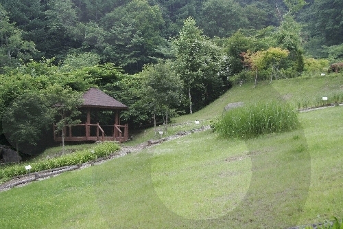 雉岳山自然休養林(치악산자연휴양림)