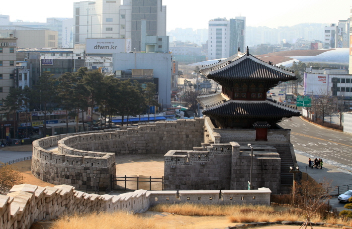 Tour around Daehak-ro Street