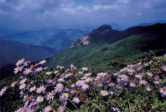 Provinzpark Gajisan (Miryang) (가지산도립공원(밀양))