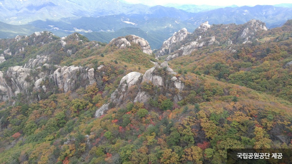 Songnisan National Park (Chungcheongbuk-do Section) (속리산국립공원(충북))