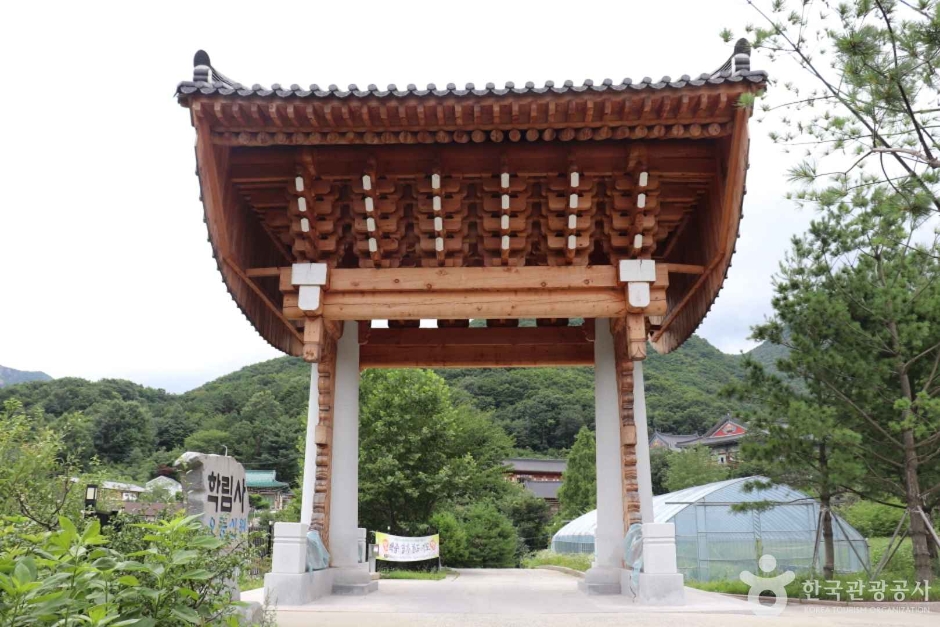 학림사(공주)