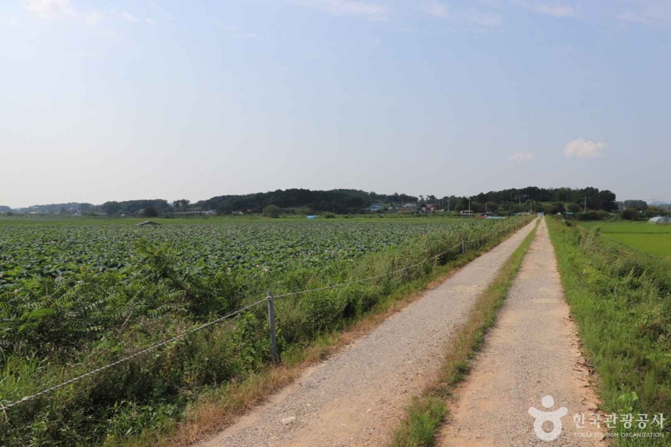 당진 오봉제