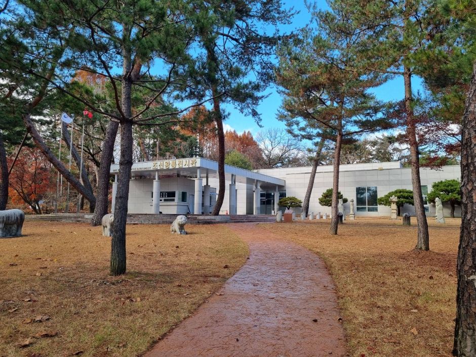 thumbnail-태릉강릉-10