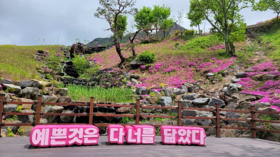 산청황매산철쭉제