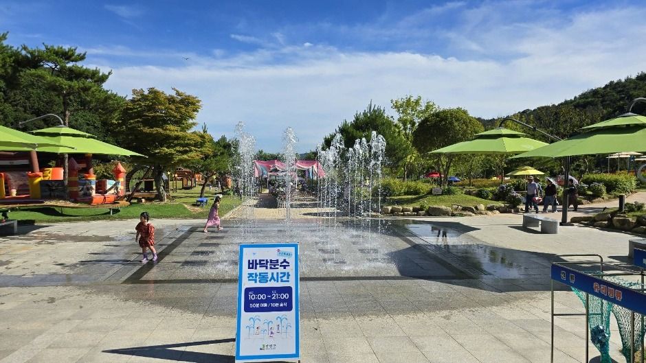 2025 강진수국길축제 4