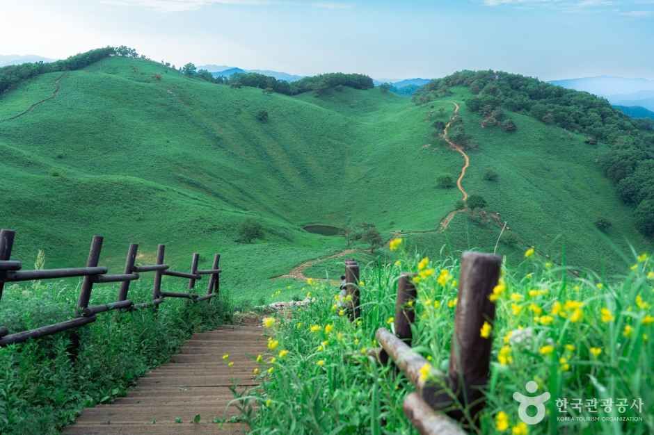 민둥산