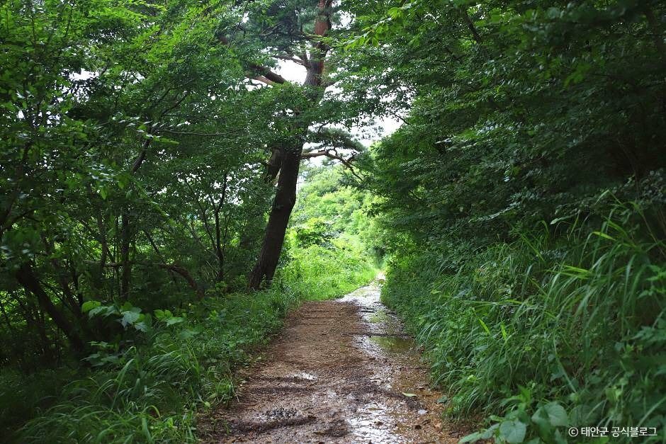 가의도: 숨겨진 서해 하와이, 섬 시간에 갇히다! 가의도: 숨겨진 서해 하와이, 섬 시간에 갇히다!