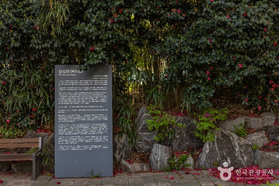 신선대(부산)