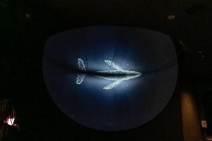 부산_국립해양박물관 (21)