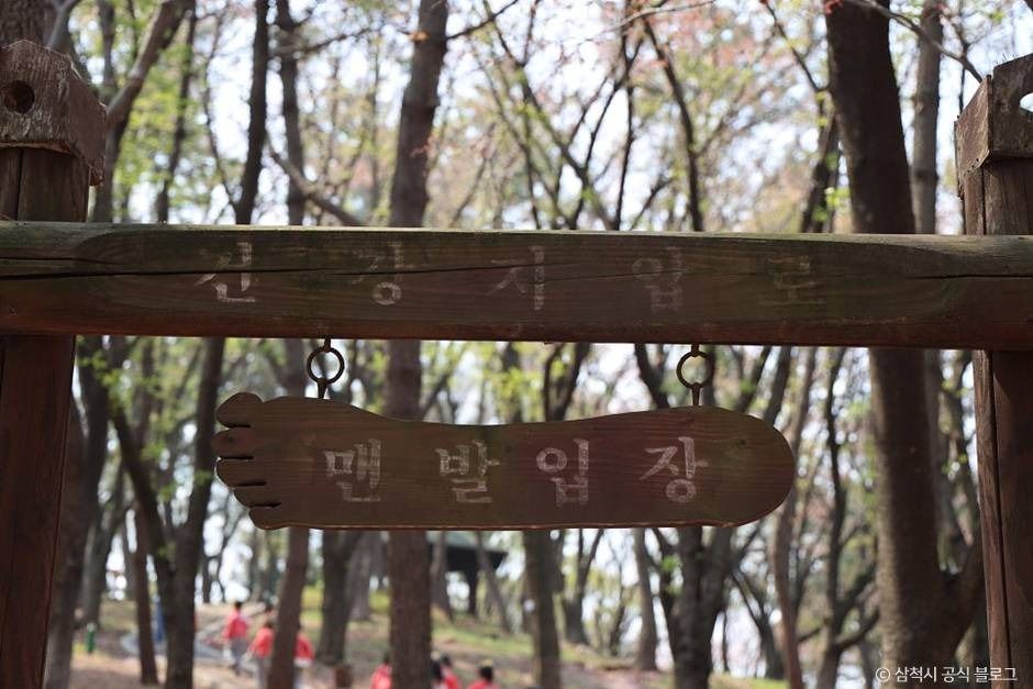 삼척_봉황산산림욕장 (3)