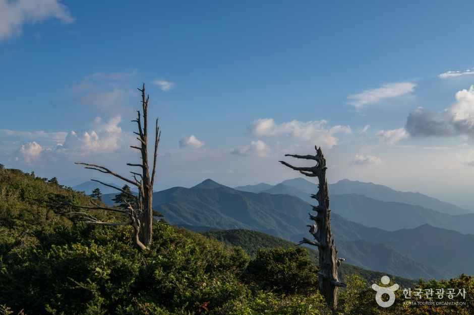 덕유산 국립공원