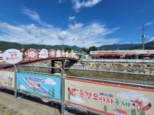 2025 문경오미자축제 2
