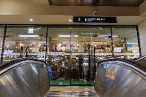 서울_고속터미널 꽃도매상가 (1)