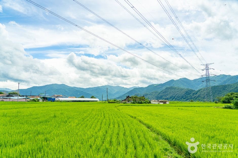 구례_용두마을 (11)