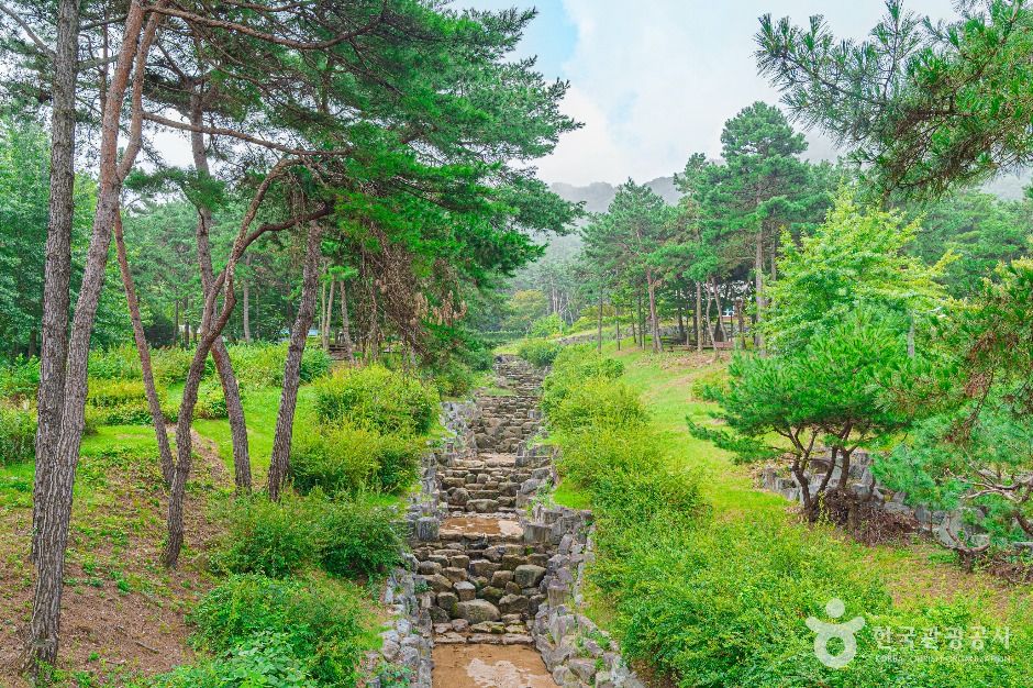 금성산생태숲