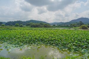 김제_대율저수지 (6)
