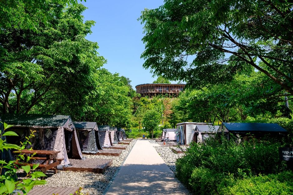 서울_강동그린웨이 가족캠핑장 (2)