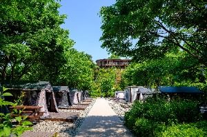 서울_강동그린웨이 가족캠핑장 (2)